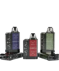 Rincoe Jellybox Disposable Device And Cartridge 2000 puff